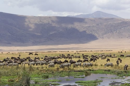 5-days-ngorongoro-crater